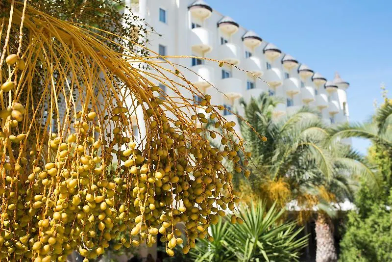 Alinn Boutique Sarigerme (Adults Only)